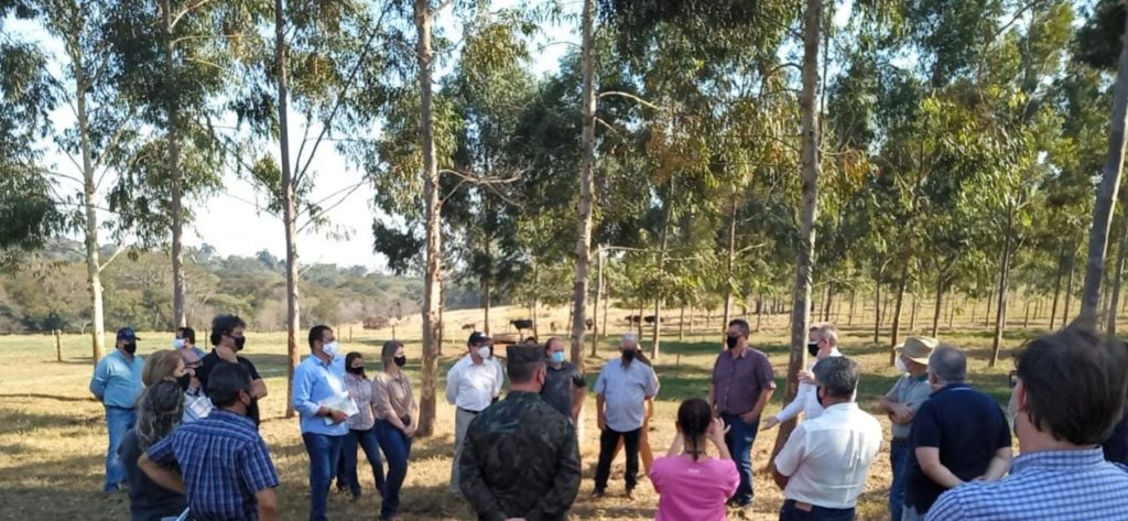 WhatsApp Image 2021-08-20 at 17.38.37