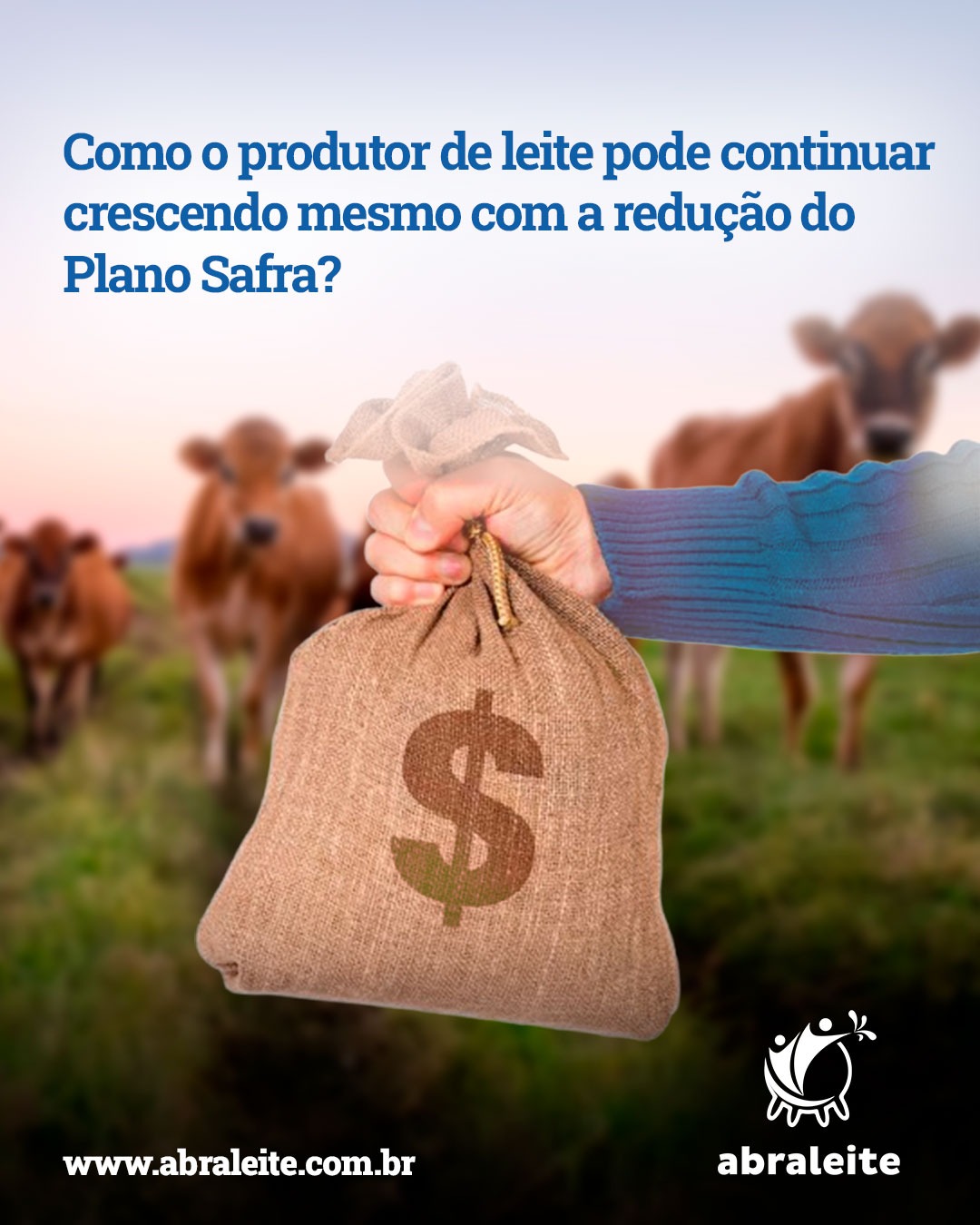 Como o produtor de leite pode continuar crescendo mesmo com a redução do Plano Safra?