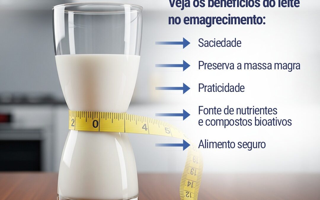 O leite ajuda a emagrecer