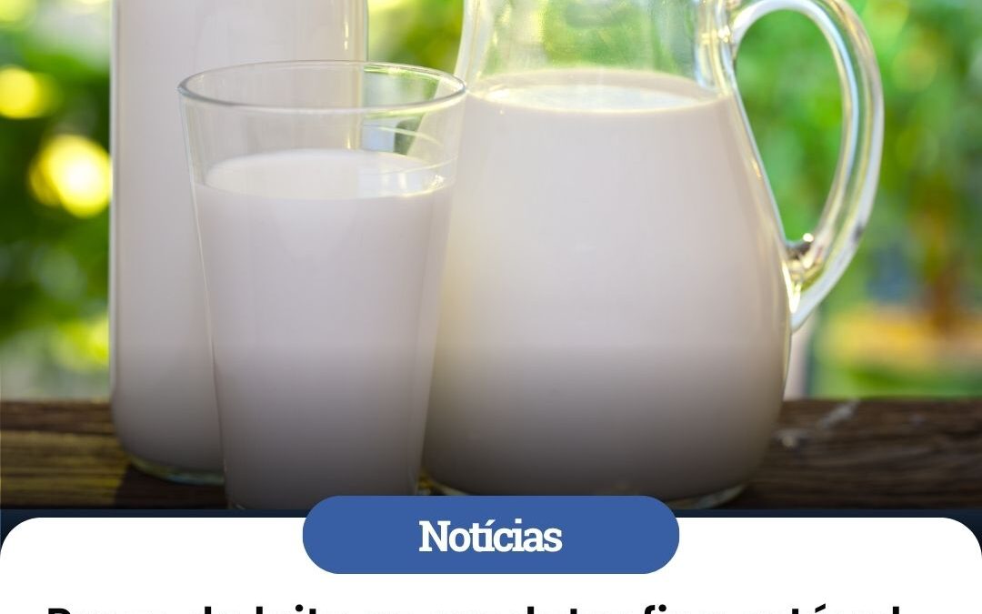 Preço do leite fica praticamente estável em agosto, aponta Cepea